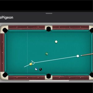 Meet your Posher, Tony